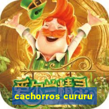 cachorros cururu